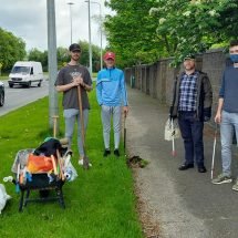 santry tidy town 2